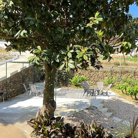 Villa Samaritana - Casa Da Vinha Vila Marim Ngoại thất bức ảnh
